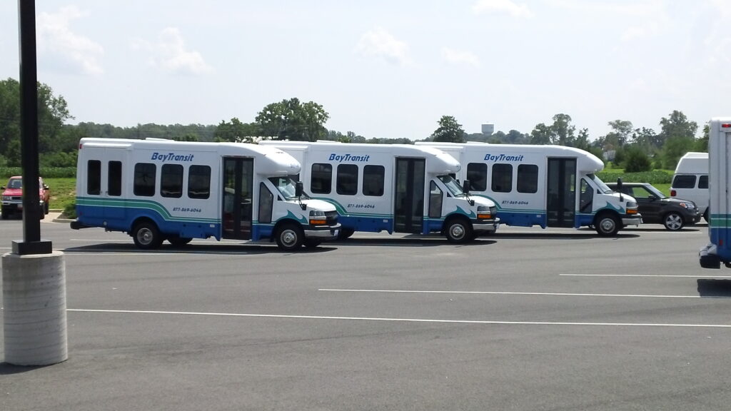 Véhicules de Bay Transit