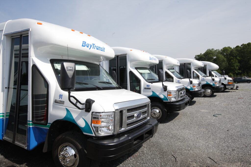 Cinq bus de Bay Transit