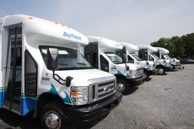 Cinq bus de Bay Transit